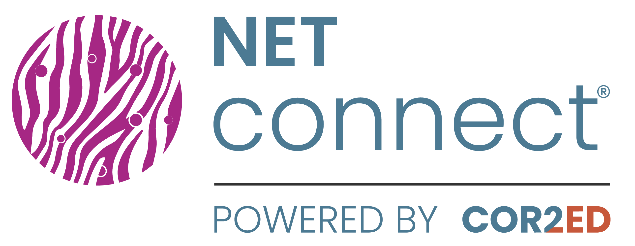 net-connect-logo
