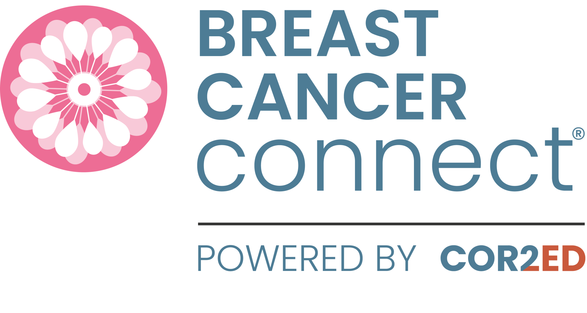 BREAST CANCER CONNECT